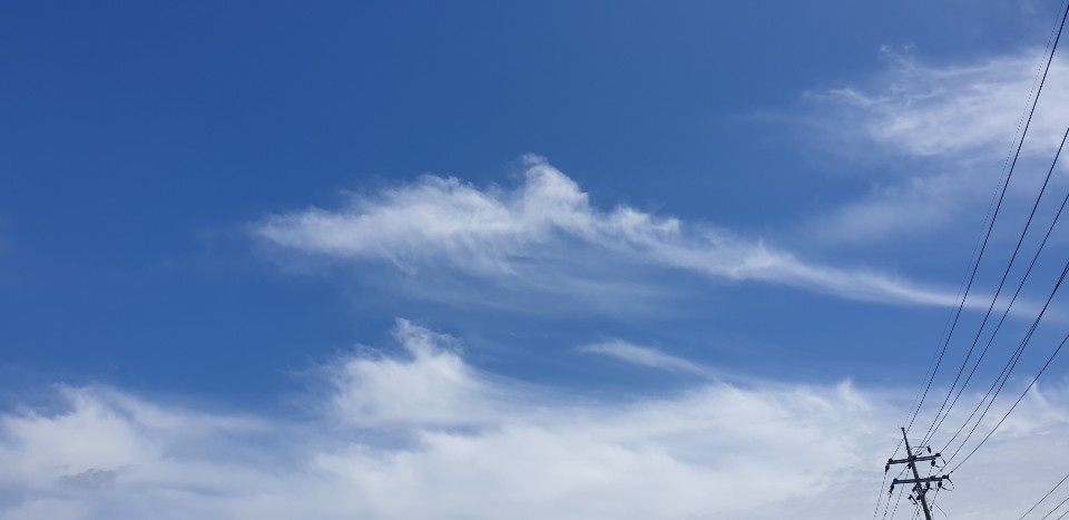 974ccf495f52c1950eea51d245b1a6f5_1597499400_2499.jpg